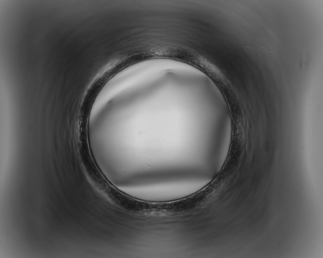 X0000086240730200704191820