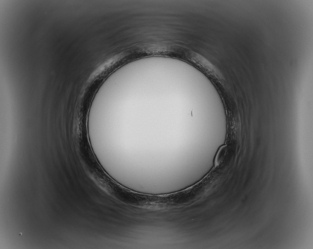 X0000086240732200704191820