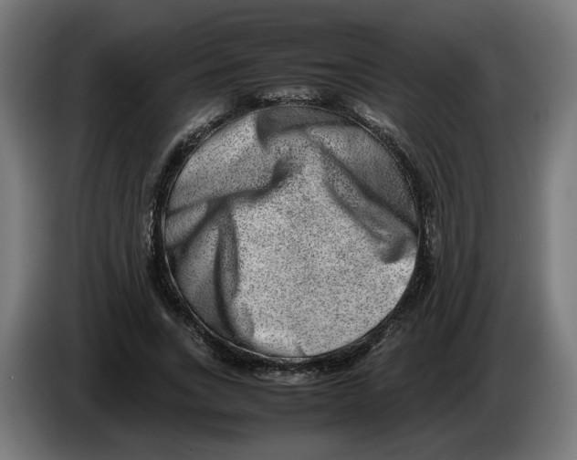 X0000086240735200704191820