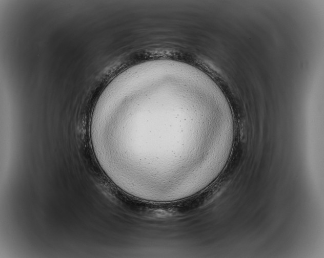 X0000086240737200704191820