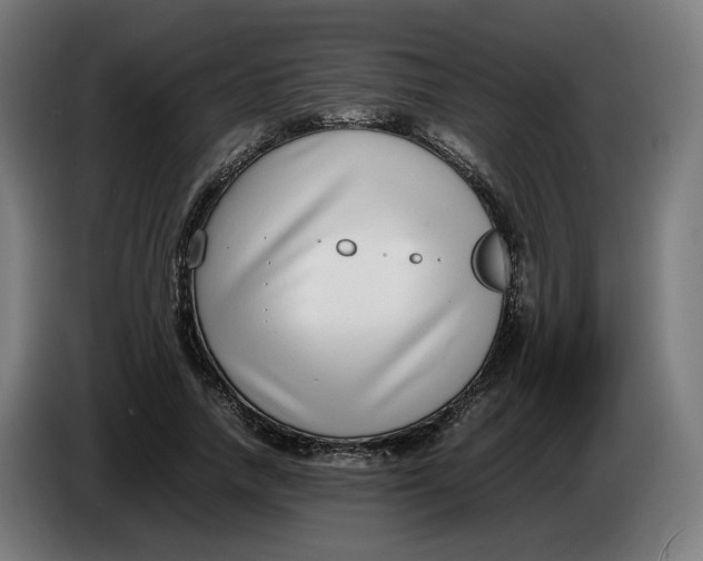 X0000086240738200704191820