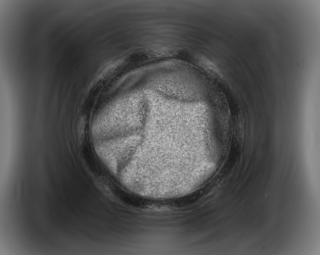 X0000086240742200704191820