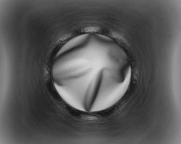 X0000086240743200704191820