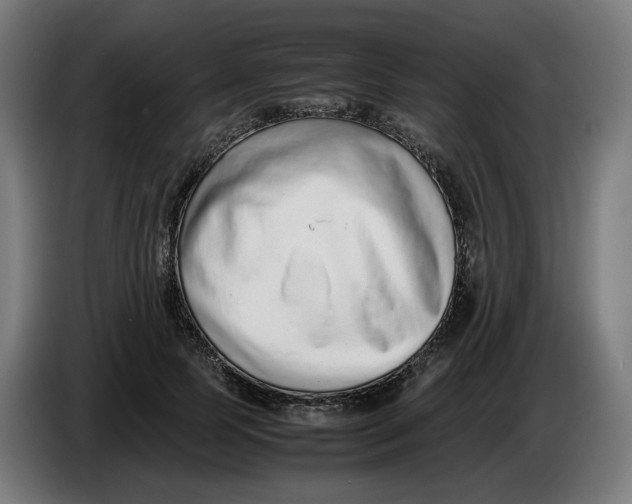 X0000086240745200704191820