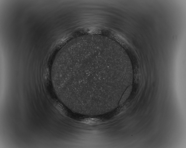 X0000086240748200704191820