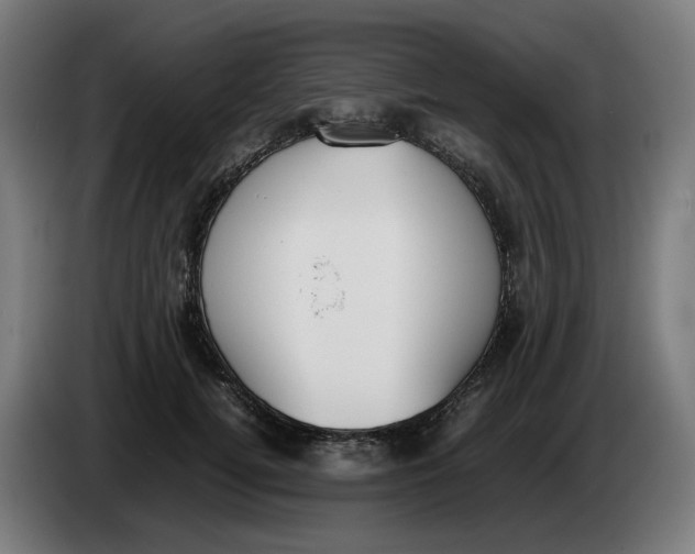 X0000086240752200704191821