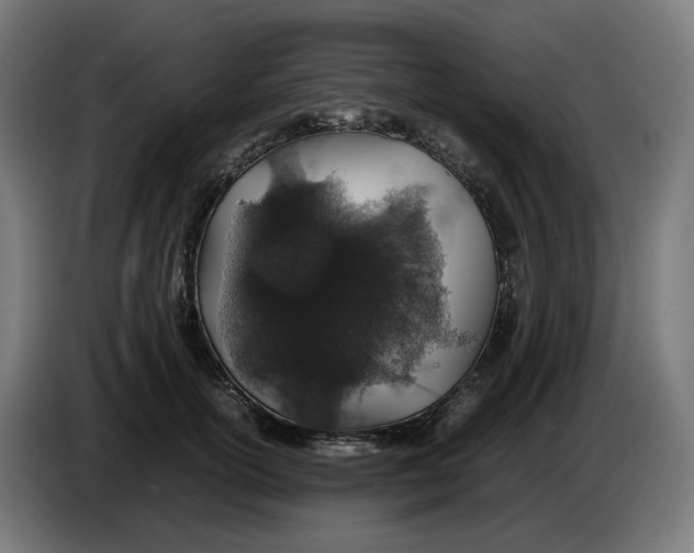 X0000086240754200704191821