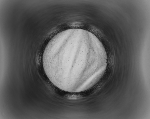 X0000086240755200704191821