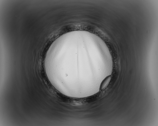 X0000086240757200704191821