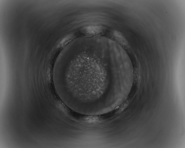 X0000086240762200704191821