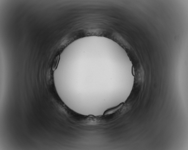 X0000086240764200704191821