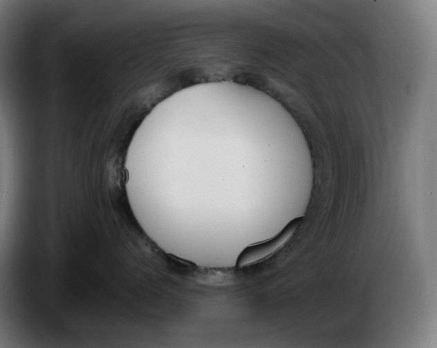 X0000086240768200704191821