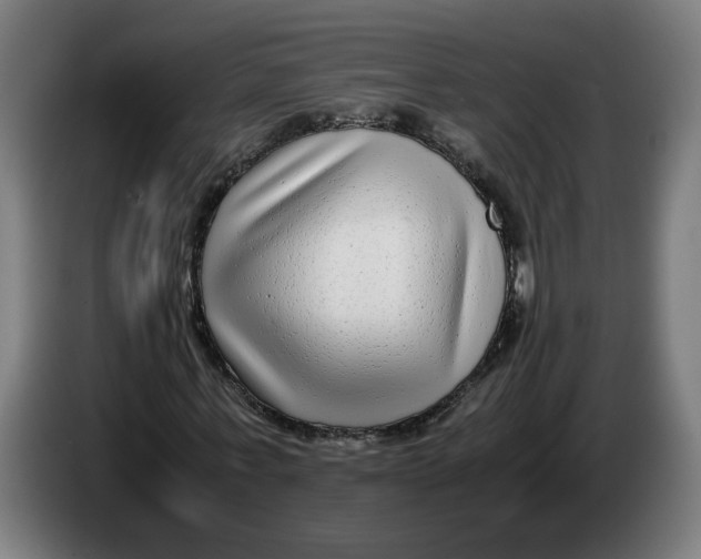 X0000086240771200704191820