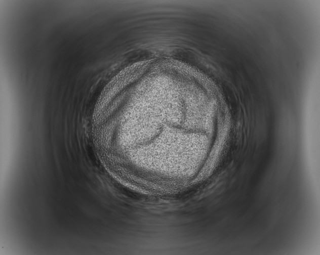X0000086240772200704191820