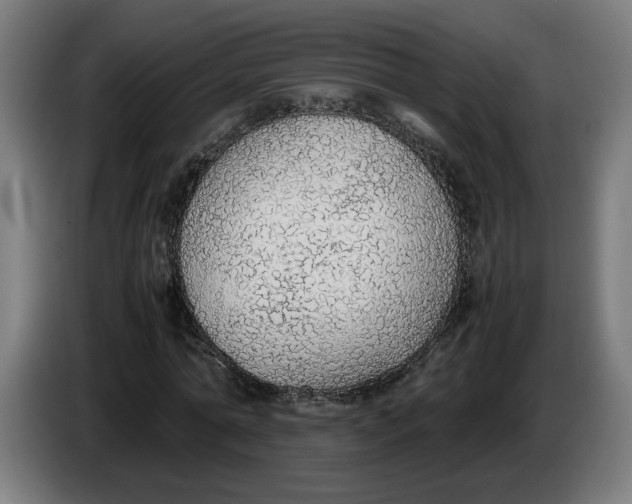X0000086240774200704191820