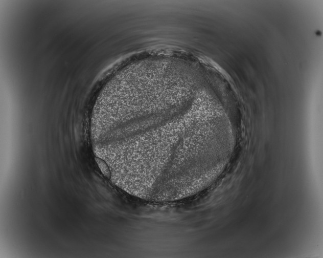 X0000086240775200704191820