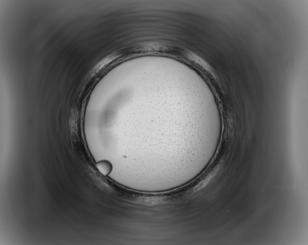 X0000086240778200704191820