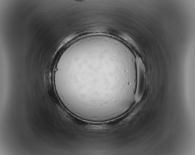 X0000086240781200704191820