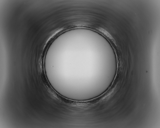 X0000086240782200704191820