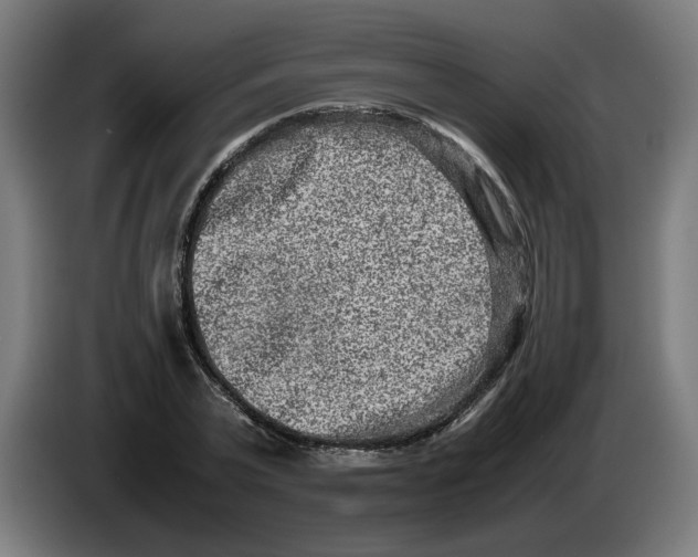 X0000086240783200704191820