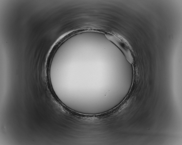 X0000086240784200704191820