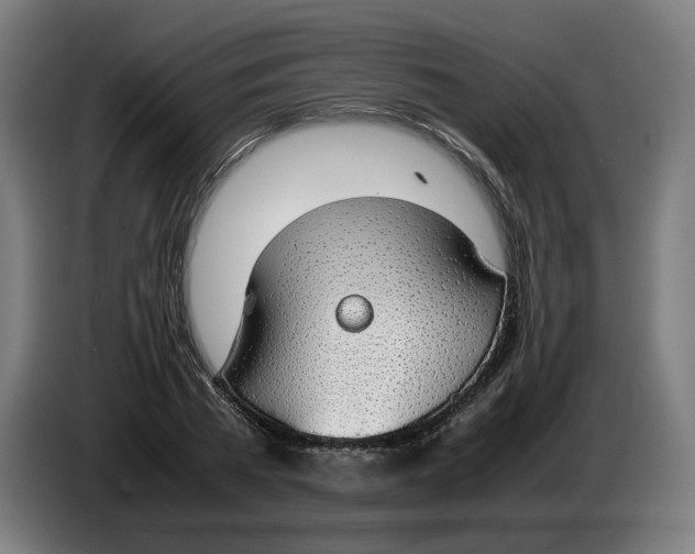 X0000086240785200704191820