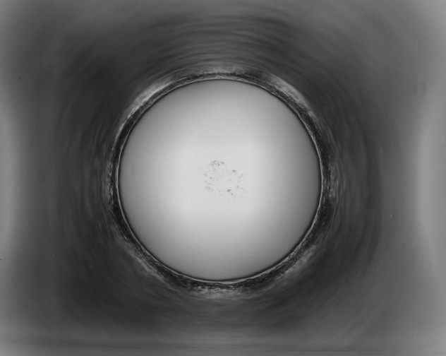 X0000086240786200704191820
