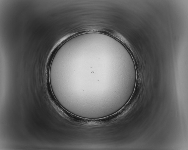 X0000086240787200704191820