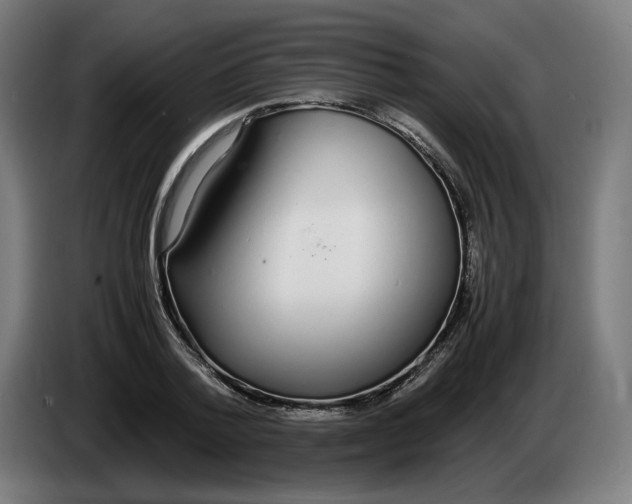 X0000086240788200704191820