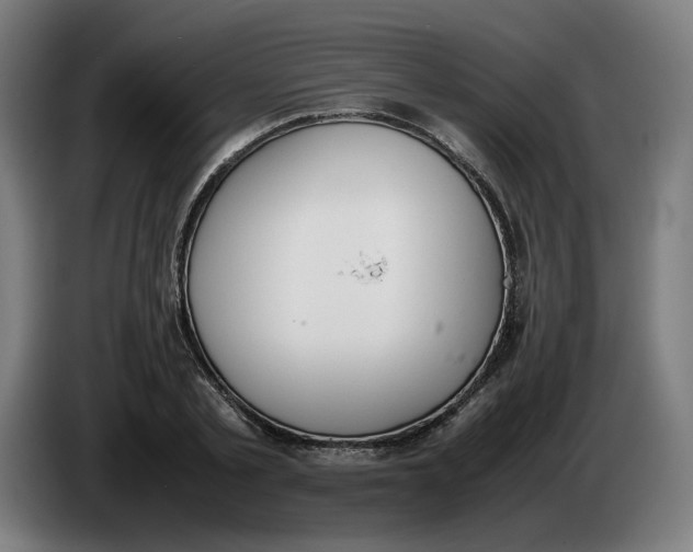 X0000086240789200704191820