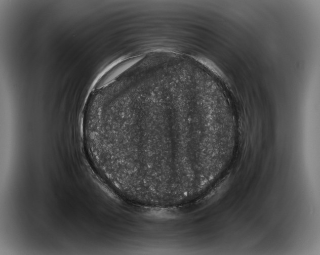 X0000086240790200704191820