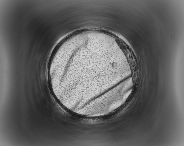 X0000086240791200704191820