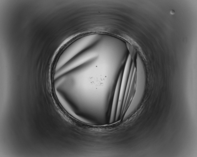 X0000086240792200704191820
