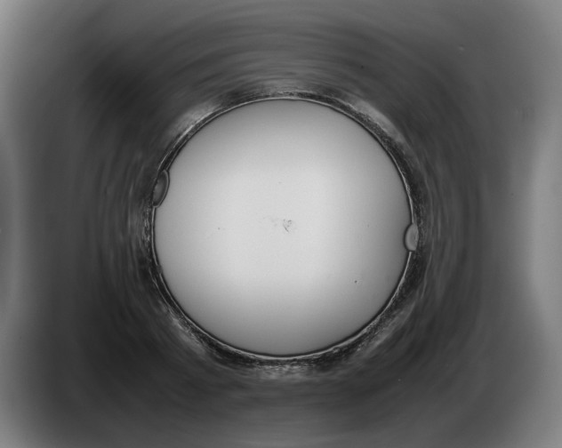 X0000086240793200704191820