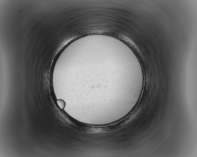 X0000086240794200704191820