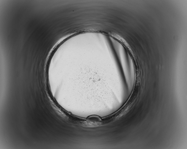 X0000086240795200704191820