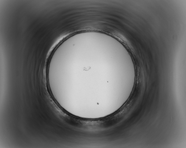 X0000086240796200704191820