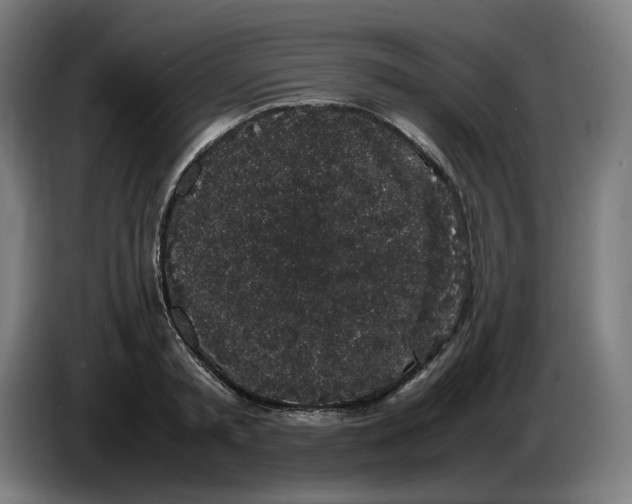 X0000086240797200704191820