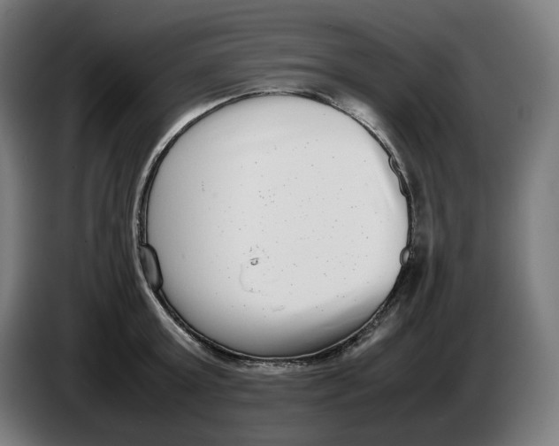 X0000086240803200704191820