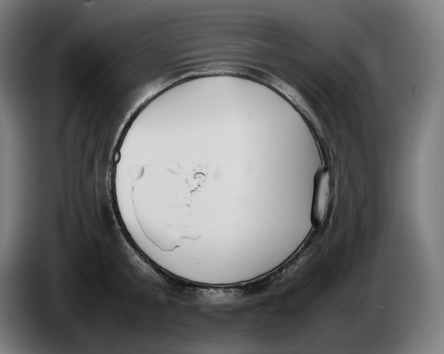 X0000086240805200704191820