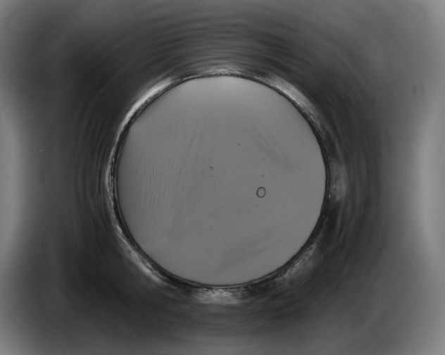 X0000086240806200704191820