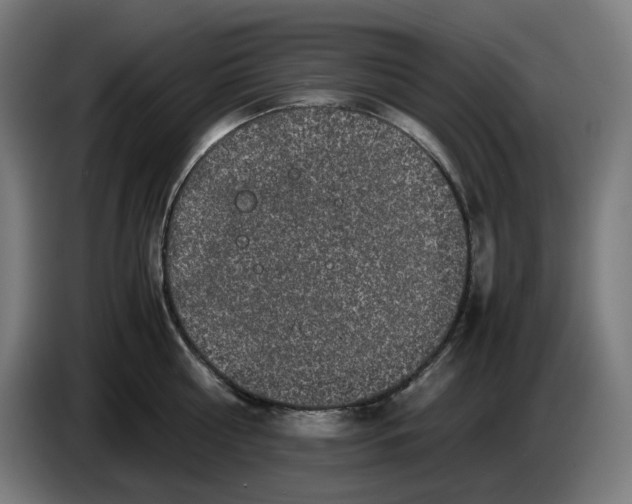 X0000086240810200704191820