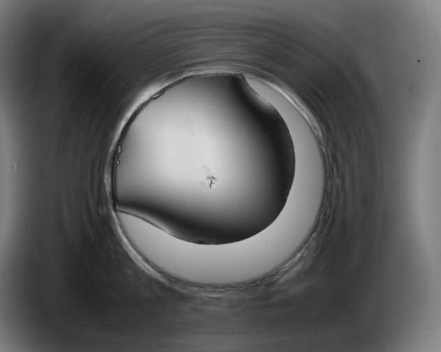 X0000086240813200704191820
