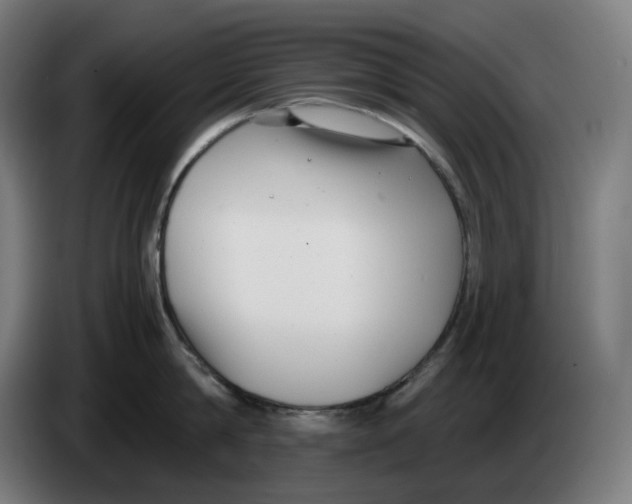 X0000086240814200704191819