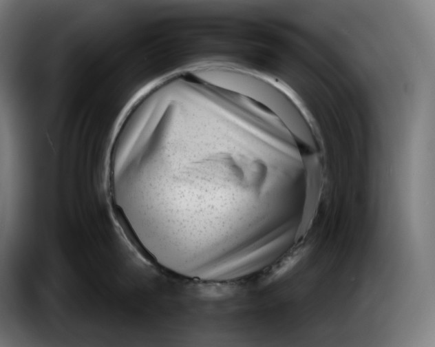 X0000086240815200704191819