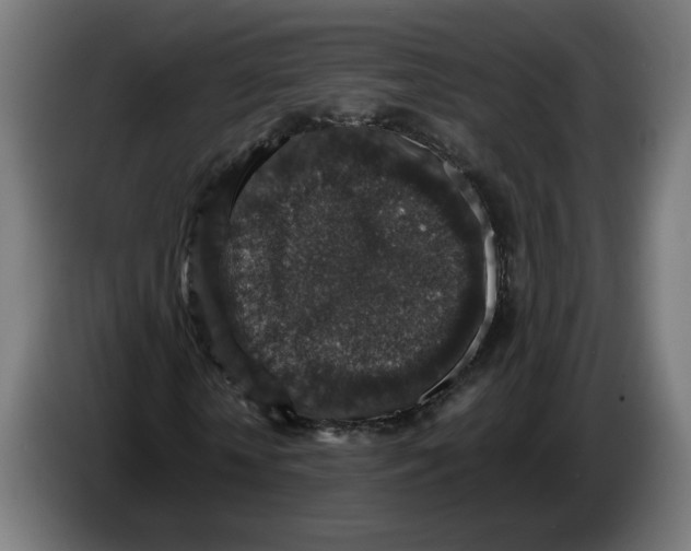 X0000086240818200704191819