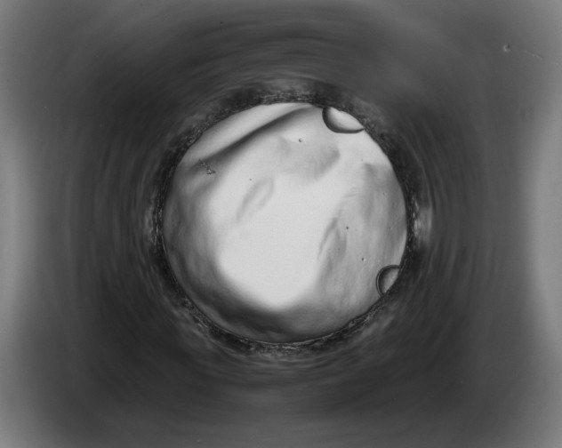 X0000086240819200704191819