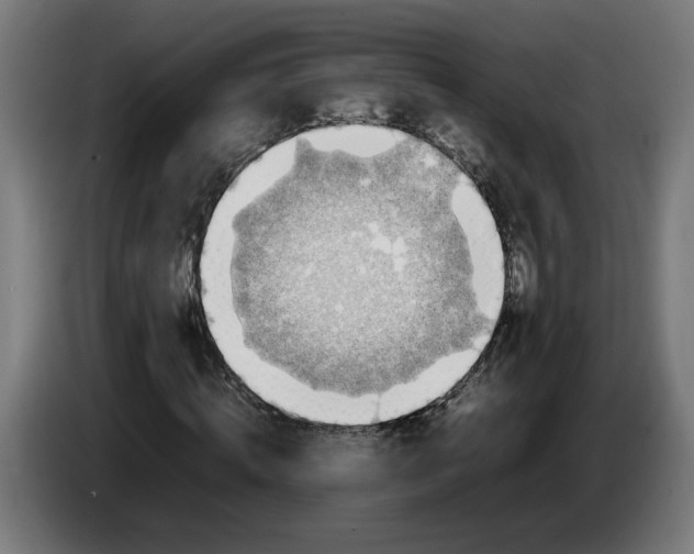 X0000086240820200704191819