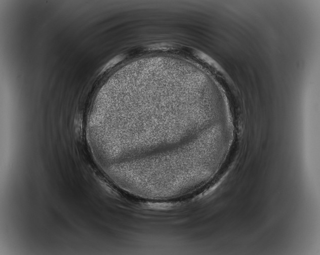 X0000086240825200704191819