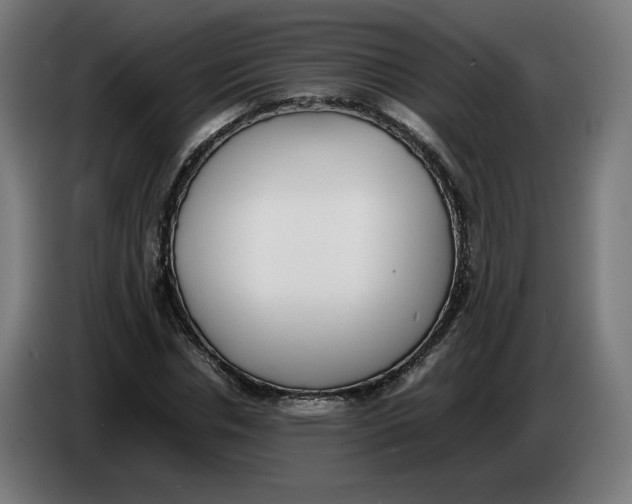 X0000086240826200704191819